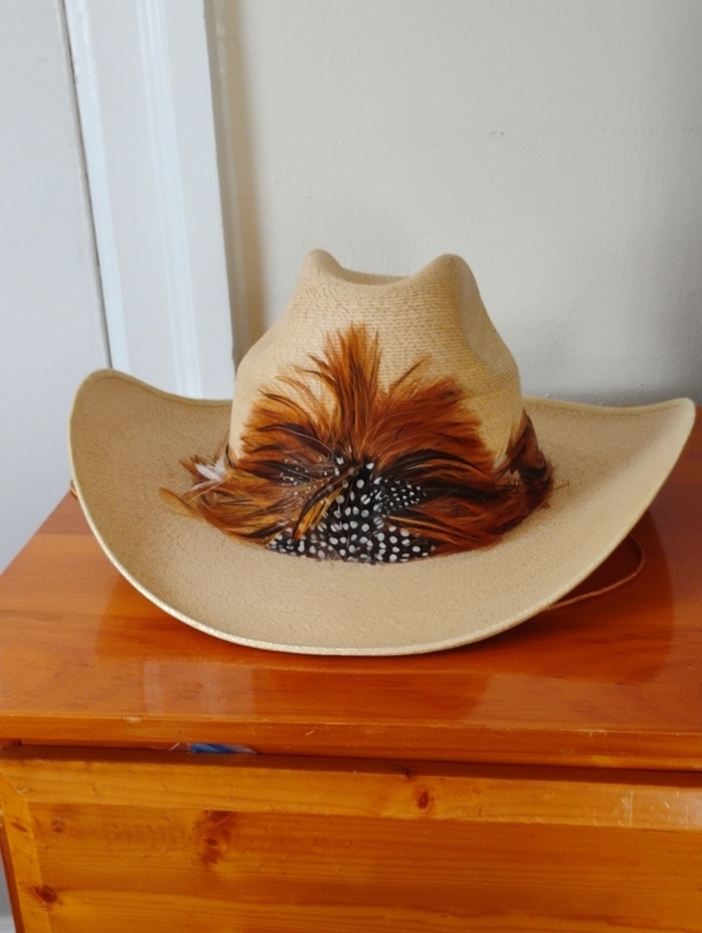 Beige Straw Western Cowboy Hat with Feather Accent